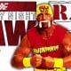 Hulk Hogan Still Rules RAW Article Pic