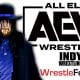 The Undertaker AEW All Elite Wrestling Article Pic 2 WrestleFeed App