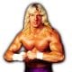 Triple H WCW Article Pic 6 WrestleFeed App