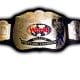 WWF Tag Team Championship Title Belt Article Pic 1 WrestleFeed App