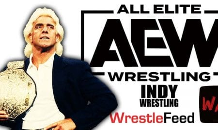 Ric Flair AEW All Elite Wrestling Article Pic 1 WrestleFeed App