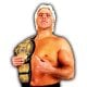 Ric Flair Article Pic 3 WrestleFeed App