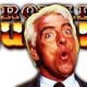 Ric Flair Royal Rumble 2021 WrestleFeed App
