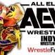 Sting AEW All Elite Wrestling Article Pic 14 WrestleFeed App