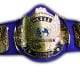 WWF WWE Championship Title Article Pic 4 WrestleFeed App