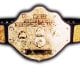 World Heavyweight Championship - Title Belt - WCW NWA WWE Article Pic 1 WrestleFeed App