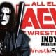 Sting AEW All Elite Wrestling Article Pic 17 WrestleFeed App
