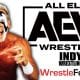 Sting AEW All Elite Wrestling Article Pic 18 WrestleFeed App