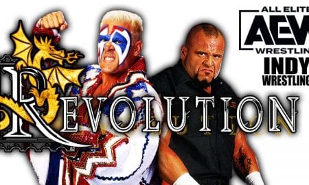 Sting wins at AEW Revolution 2021