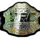 UFC Ultimate Fighting Championship Title Belt Article Pic 2 WrestleFeed App