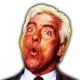 Ric Flair Article Pic 5 WrestleFeed App