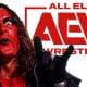 Sting AEW All Elite Wrestling Article Pic 19 WrestleFeed App
