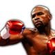 Floyd Mayweather Jr Article Pic 3 WrestleFeed App