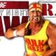 Hulk Hogan RAW Article Pic 3