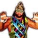 Macho Man Randy Savage Article Pic 1 WrestleFeed App