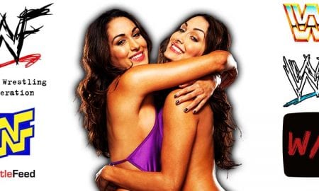 Bella Twins Nikki Bella Brie Bella Article Pic 3 WrestleFeed App