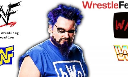 Blue Meanie bWo ECW Article Pic 1 WrestleFeed App