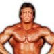 Paul Orndorff Article Pic 1 WrestleFeed App