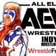 Sting AEW All Elite Wrestling Article Pic 21 WrestleFeed App