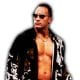 The Rock Article Pic 17 WrestleFeed App