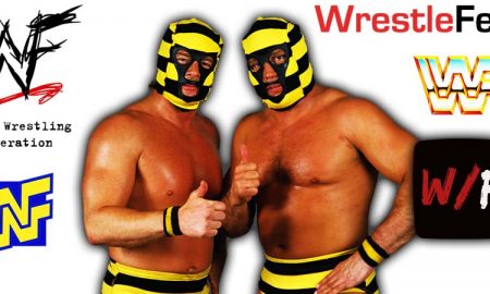 Killer Bees - Brian Blair & Jim Brunzell Article Pic 1 WrestleFeed App
