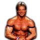 Lex Luger WWF WCW Article Pic 5 WrestleFeed App