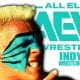 Sting AEW All Elite Wrestling Article Pic 23 WrestleFeed App