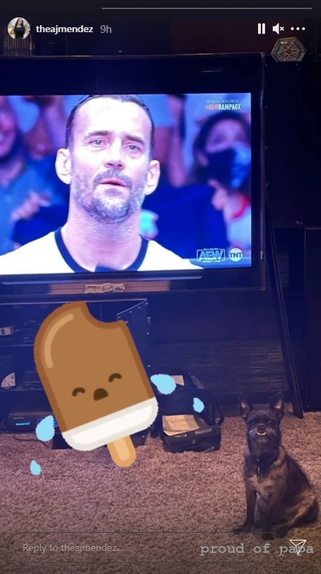 AJ Lee Reacts To CM Punk's AEW Debut