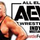 Brock Lesnar AEW All Elite Wrestling Article Pic 7 WrestleFeed App