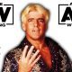 Ric Flair AEW All Elite Wrestling Article Pic 2 WrestleFeed App