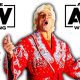 Ric Flair AEW All Elite Wrestling Article Pic 3 WrestleFeed App