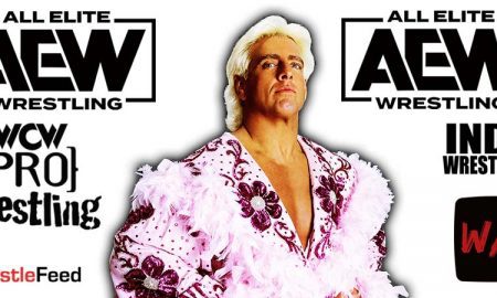 Ric Flair AEW All Elite Wrestling Article Pic 4 WrestleFeed App