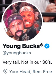 Young Bucks React To Vince McMahon's New Idea About NXT