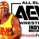 Hulk Hogan AEW Article Pic 3 WrestleFeed App