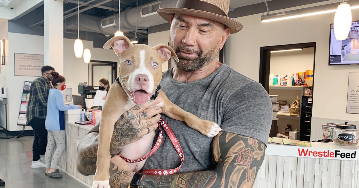 Batista Adopts Puppy After He Put A Bounty On Abuser's Head WrestleFeed App
