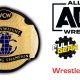 AEW World Championship Title Match Full Gear WrestleFeed App