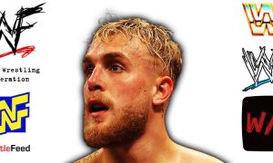 Jake Paul Article Pic 1 WrestleFeed App