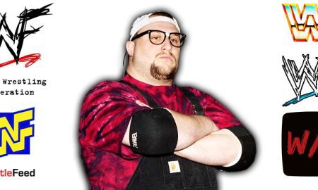 Bubba Ray Dudley Bully Ray Article Pic 2 WrestleFeed App