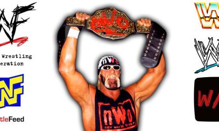 Hollywood Hulk Hogan nWo Wolfpac Elite WCW Article Pic WrestleFeed App