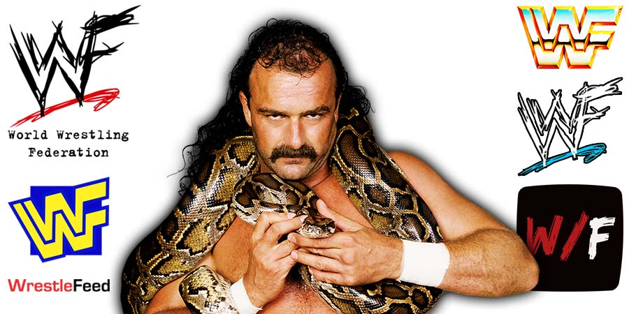 Jake Roberts The Snake WWF Article Pic WrestleFeed App