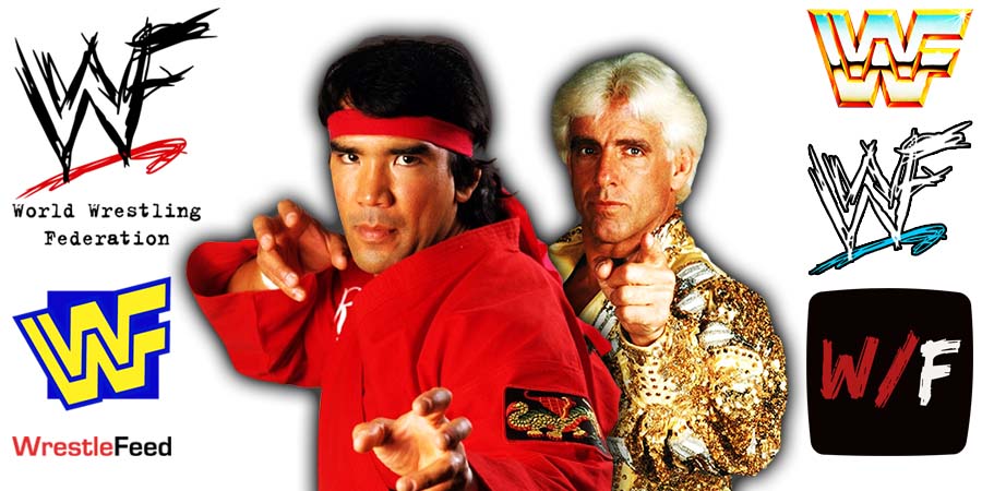 Ricky Steamboat & Ric Flair Article Pic WrestleFeed App