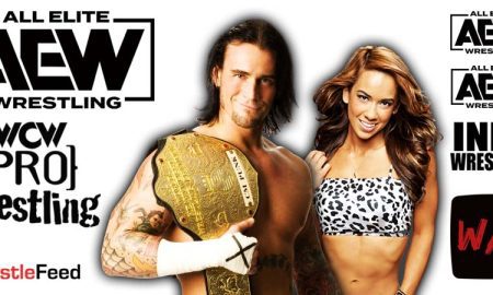 CM Punk & AJ Lee AEW All Elite Wrestling Article Pic WrestleFeed App