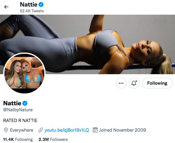 Natalya Rated R Nattie Twitter Bio WWE Character
