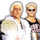 Ric Flair Vs Jeff Jarrett Ric Flair's Last Match 4 WrestleFeed App