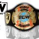 AEW TNT & TBS Championship Title Belt Article Pic WrestleFeed App