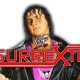Bret Hart Clash At The Castle WrestleFeed App