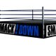 SmackDown Ring Big Logo Article Pic WrestleFeed App