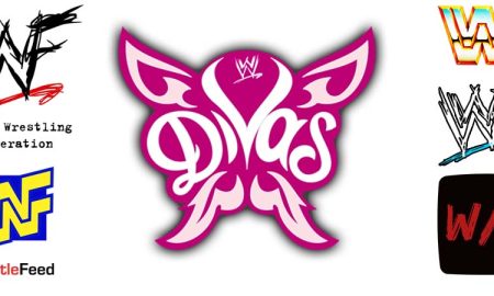 Divas Women WWE Logo Article Pic 1 WrestleFeed App