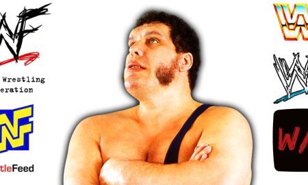 Andre The Giant Article Pic 4 WrestleFeed App
