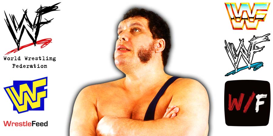 Andre The Giant Article Pic 4 WrestleFeed App